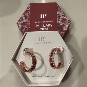 BP January 2024 Rose Gold Hoop Earrings
